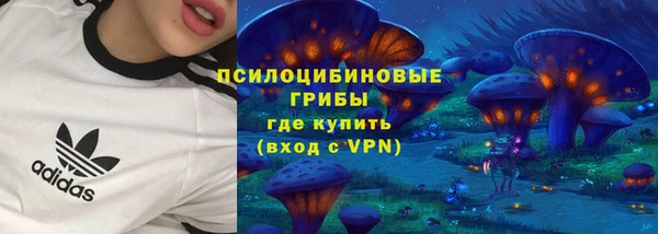 mix Белокуриха