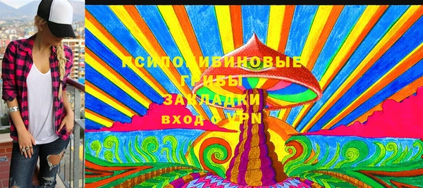 mix Белокуриха
