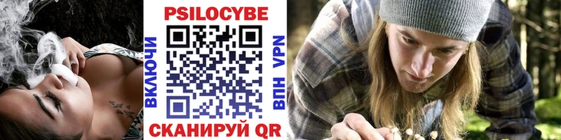 shop официальный сайт  Симферополь  Галлюциногенные грибы Cubensis 